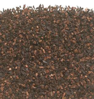 Honeybush -Rooibos